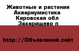 Животные и растения Аквариумистика. Кировская обл.,Захарищево п.